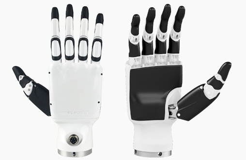Inspire DFX Hand